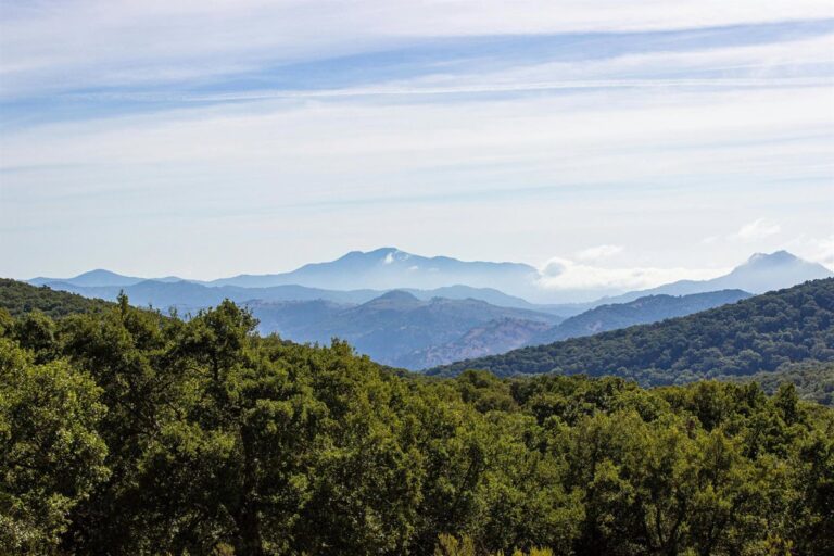 Bouwen op bosgrond in Andalusië vrijwel uitgesloten door nieuwe wet