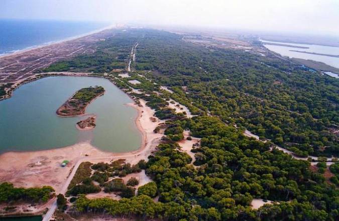 Costa de Valencia: brede zandstranden, Valencia-stad en natuur rond de Albufera