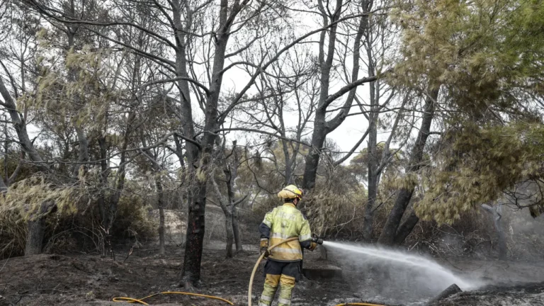 Spanje al ruim 266.000 hectare door natuurbranden kwijt: Niebla grootste geregistreerde brand