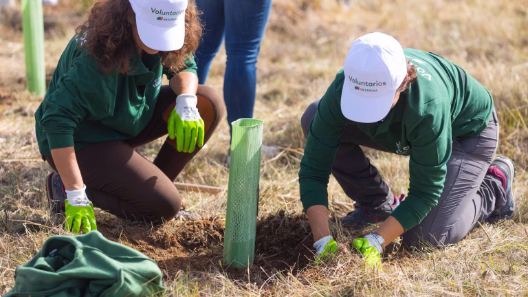 Spanje wil 3,5 miljoen bomen planten als onderdeel van groot Europees natuurherstelplan