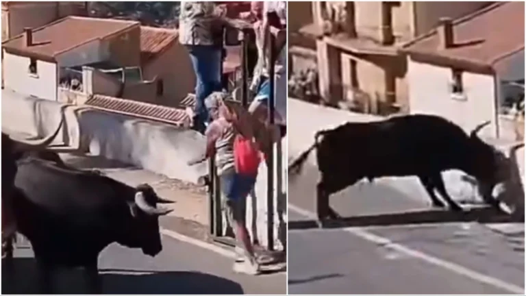 Vrouw van 64 overlijdt na aanval door stier tijdens dorpsfeest in Albacete