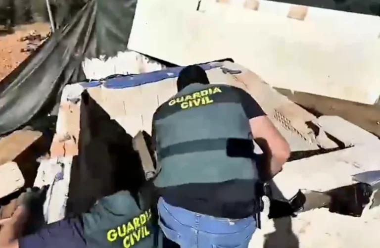 Geheime hennepkwekerij onder olijfgaard in Granada ontdekt: duizenden planten en wapens in beslag genomen