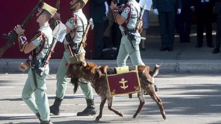 Waarom loopt er een geit mee tijdens de Spaanse militaire parade? De bijzondere traditie van het Legioen