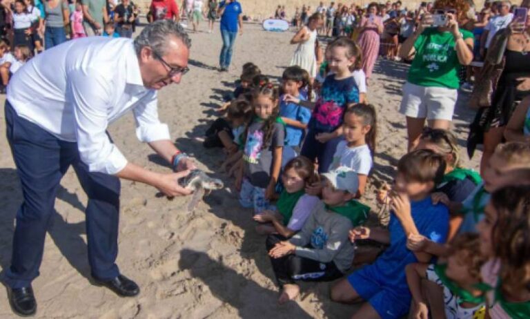 Zeven zeeschildpadden keren terug naar zee in Benidorm na 14 maanden speciale verzorging